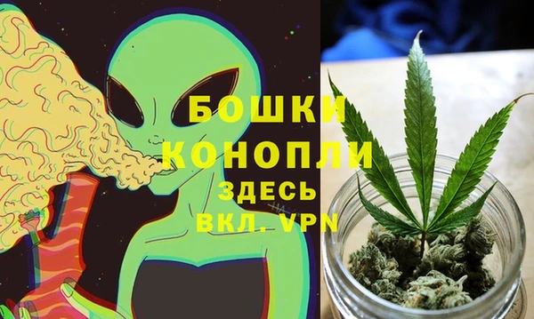 Альфа ПВП Арсеньев