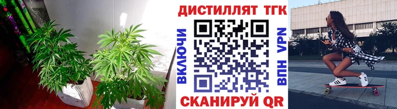Купить где  Нововоронеж  ТГК Wax 