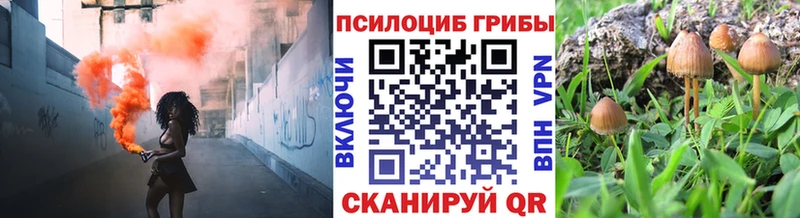 Купить закладки  Нововоронеж  Псилоцибиновые грибы мухоморы 